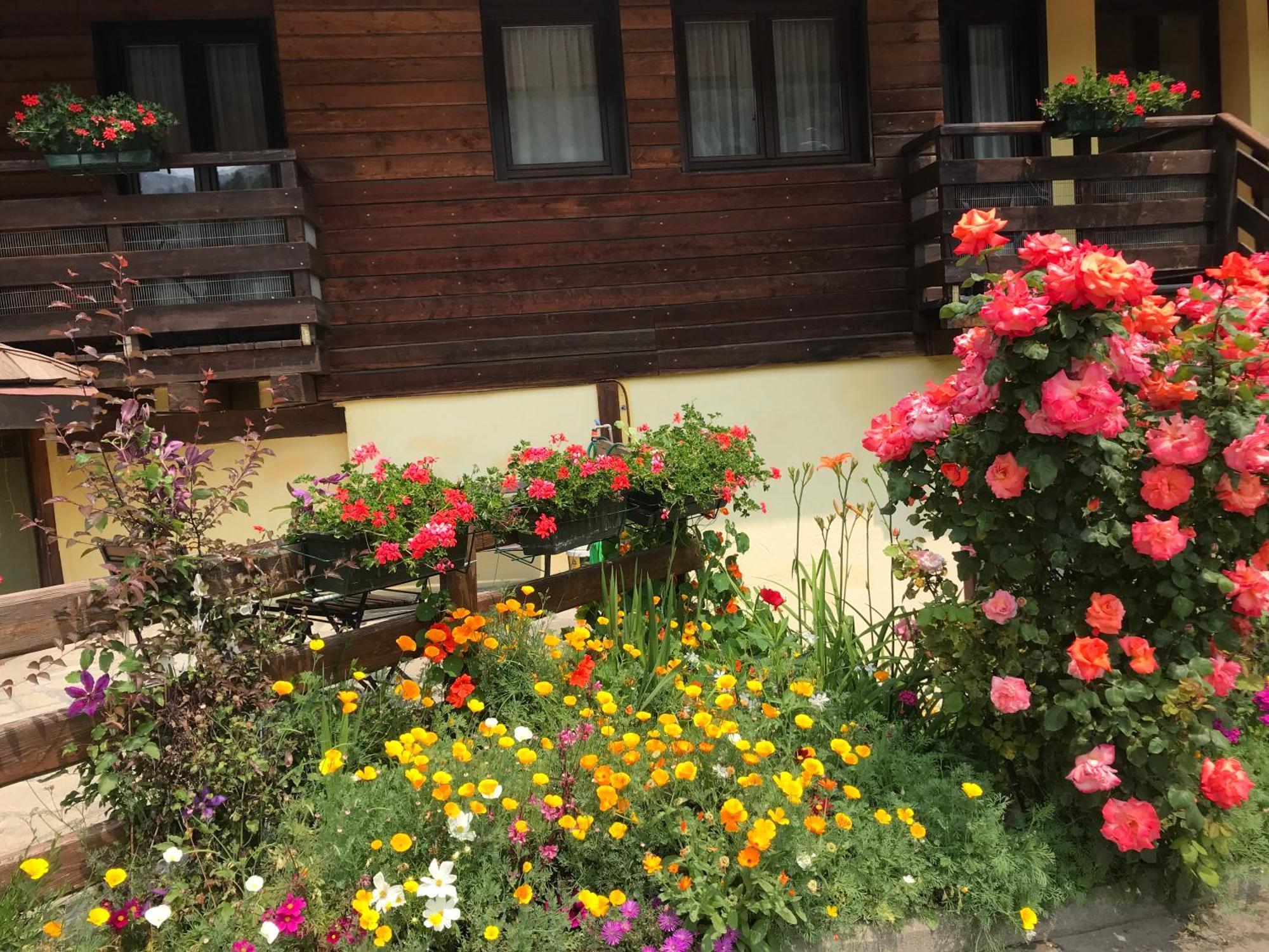Hotel Ca Fiore Bardonecchia Zewnętrze zdjęcie