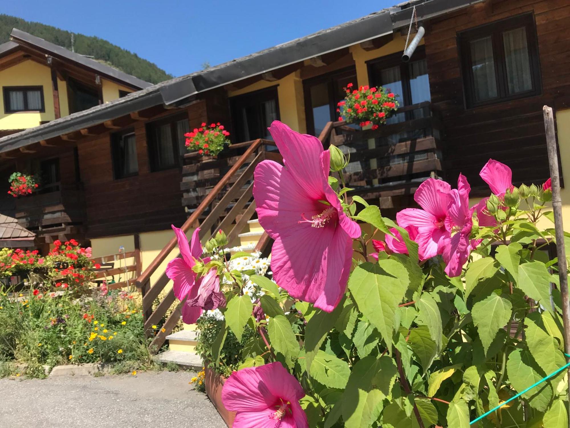 Hotel Ca Fiore Bardonecchia Zewnętrze zdjęcie